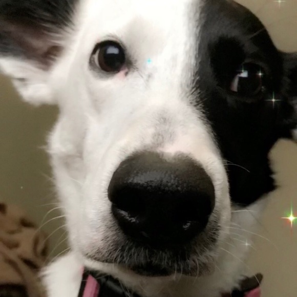 shelbycolleen48